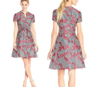 Adrianna Papell Women's Gingham and Floral Dress